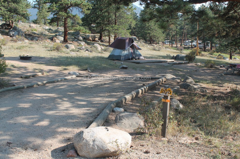 Campsite 205 in Moraine Park Campground at Rocky Mountain National Park